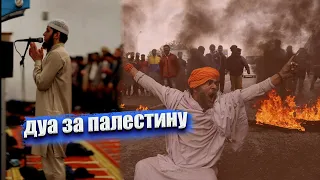 ДУА ЗА ПАЛЕСТИНУ, Дуа Кунут для притесненных братьев 🤲🏻🤲🏻💔#рамадан2023 #ramad