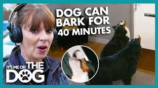 Victoria Shocked By Dog Barking At Guests For Up To 40 Minutes | It's Me or The Dog