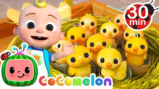 Numbers Song with Little Chicks | @Cocomelon - Nursery Rhymes | Food for Kids