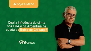 SOJA e Milho | Qual a influência do Clima nos EUA e na Argentina na queda da Bolsa de Chicago?