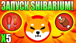 Создатель Shiba Inu Шитоши Официально Запускает Shibarium - Срочно Покупай SHIB