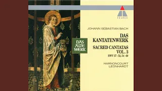 Cantata No.48 Ich elender Mensch, wer wird mich erlösen BWV48 : VI Aria - "Vergibt mir Jesus...