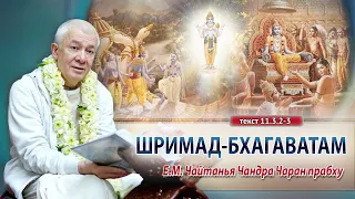 09/01/2024 Шримад-Бхагаватам 11.3.2-3. Е.М. Чайтанья Чандра Чаран прабху. Вриндаван парк