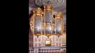 J.S.Bach (1685 - 1750) Kyrie, Gott Vater in Ewigkeit BWV 669 & 672 - Walter Gatti, organ (rehearsal)