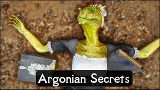 Skyrim: 5 Things They Never Told You About Argonians