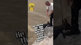 Official tutorial for dog bathing