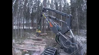 1470G Hugger "huvudbasstråk" i lång granskog🌲