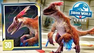 MAGNARAPTOR vs THYLOS INTREPIDUS (JURASSIC WORLD ALIVE)