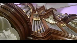 Orgelkoraal Psalm 43 vers 3 en 5 | Grote of St Martinikerk te Bolsward