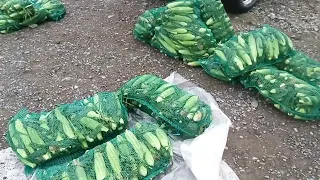 🌽ДЕШЕВА КУКУРУДЗА🌽 Огляд оптових цін на овочі і фрукти у Виноградові. Оптові ринки України.