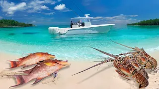 Exploring Bahamian Berry Islands | Spearfishing for Hogfish & Lobster