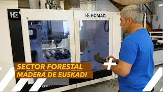 FORESTAL-MADERA, UN SECTOR DE FUTURO Y CON FUTURO ( AROTZGI/ ACEVI/SEA MADERA/ EGURLANDUA)