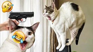 Try Not To Laugh 🤣 New Funny Cats And Dogs Video 😹