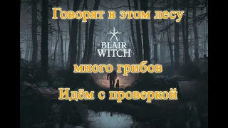 Blair Witch 2021 в лес за грибами) №2