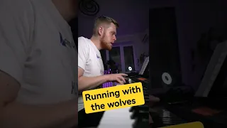 Running with the wolves (Aurora) cover