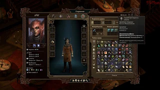 Pillars Of Eternity 2: Deadfire - Авантюрист убийца