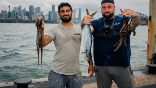 fishing 16 hours Squiding  then  fishing hawksbury then the beautiful sydney harbour never give up