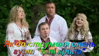 Як до струменя олень-зі словами