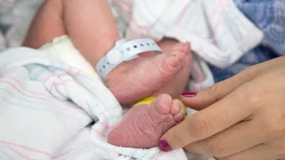 Maternal-Fetal Medicine Overview