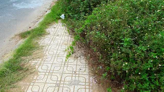 Reviving a Sidewalk Filled with Trash and Weeds for This Urban Area