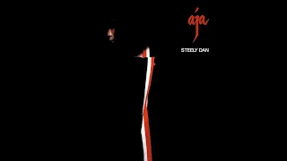 Steely Dan - Home at last (instrumental)