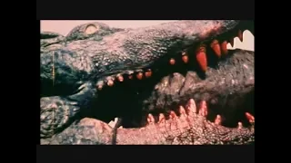 Crocodile (1979): Kill-Count