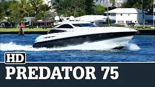 Sunseeker Predator 75 | NO RULES