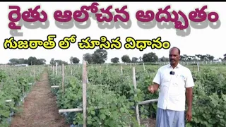 gujarat farming system/రైతు ఆలోచన అధ్భుతం,రైతు అంటేనే ఓ శాస్త్రవేత్త