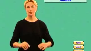 Видеословарь русского жестового языка-1.flv
