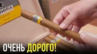 Почему КУБИНСКИЕ СИГАРЫ Стоят Так Дорого?! Слишком Дорого