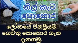 නිල් කැට පොහොර ගැන දැනගමු.How to Use Blue corn Fertilizer for Your Garden Crops|Garden Fertilizer.