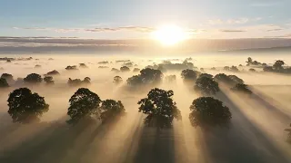 Ethereal Light - Sunrise through the morning mist - Beautiful English Countryside