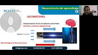 La neurociencia del aprendizaje