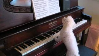 singing and playing piano