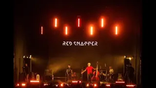 Red Snapper / Startup Гогольfest