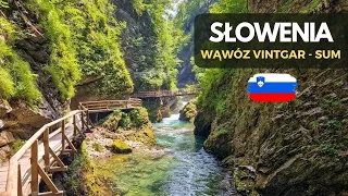 Vintgar - najpiękniejszy wąwóz w Słowenii | przyjemny szlak turystyczny nieopodal Jeziora Bled | 4K