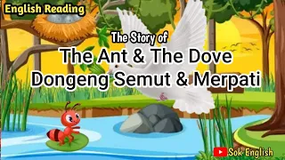 Dongeng Bahasa Inggris The Ant and The Dove | storytelling | english story