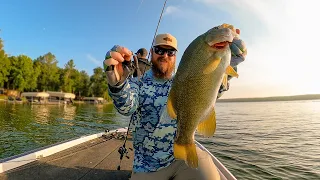 The FORGOTTEN Lure You Need To TRY! (Epic Day Of Old School Bass Fishing!!)