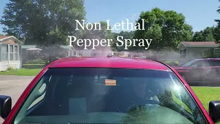 World's Only Vehicle Defense System using Peppers