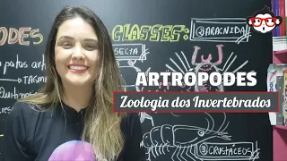 Zoologia dos Invertebrados - ARTRÓPODES 🐵📚