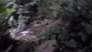 Short clip of the hike on the way to the waterfall