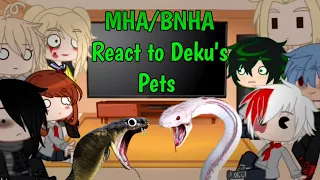 MHA/BNHA Character React to Deku's Pets/Midoriya's animal long/Manga/MHA/BNHA/Gacha Club