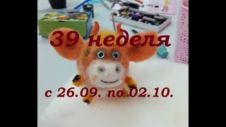 39 неделя 2021г (с 26.09. по 02.10.)