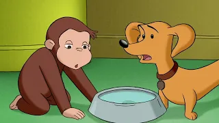 Georges le Petit Singe 🐵 George apprend à surmonter ses peurs 🐵 Dessins Animés