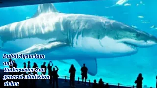 Dubai Aquarium & Underwater Zoo | $33 ticket is it worth it?