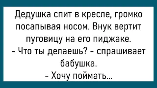 💎Жена Будит Мужа...Большой Сборник Смешных Анекдотов,Для Супер Настроения!