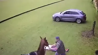Лошадь убила человека.