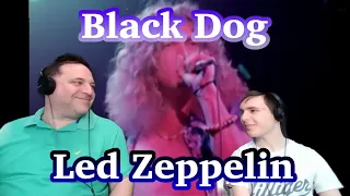 Black Dog - Led Zeppelin Father and Son REACTION! (Live!)