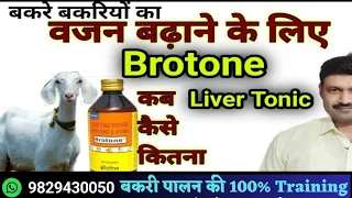 Brotone Liver Tonic for Goats