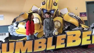 BUMBLEBEE: quick thoughts and reaction/review